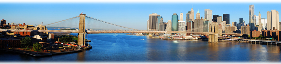 The Mental Health Alliance of New York City Manhattan Skyline